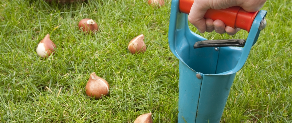 Planter sans se planter - Minizap Nord-Isère