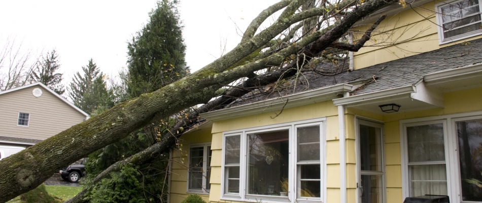 Comment être indemnisé des dommages causés par une tempête ? - Minizap Pays Voironnais