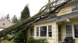 Comment être indemnisé des dommages causés par une tempête ?