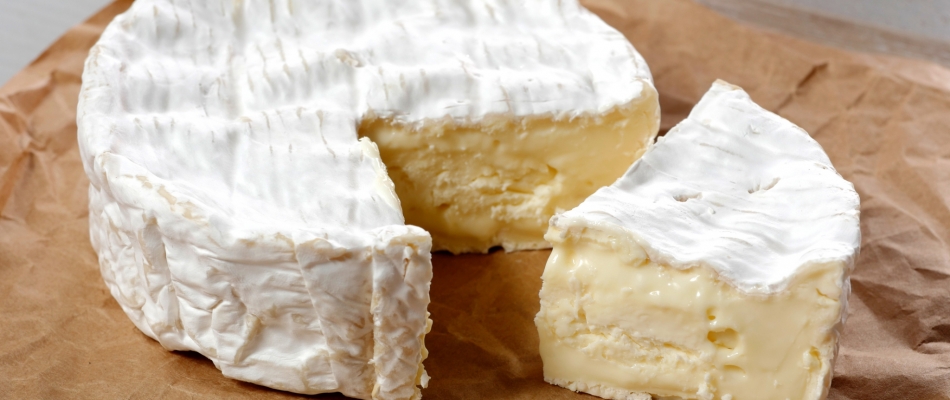 Le camembert, fromage iconique - Minizap Nord-Isère