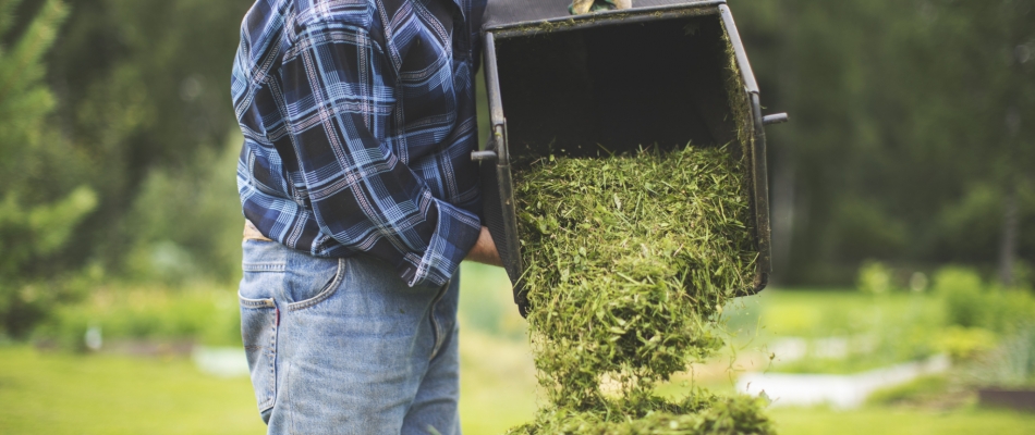 Comment recycler et valoriser l'herbe tondue dans le jardin ? - Minizap Pays Voironnais