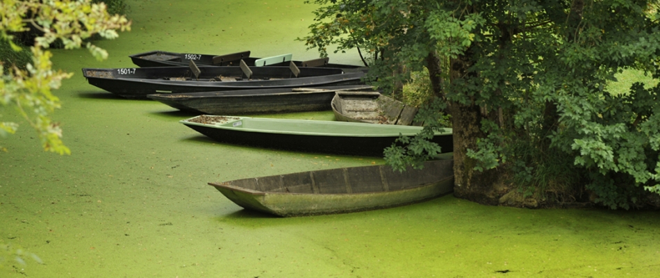 La Venise verte en barque ou à vélo - Minizap Pays Voironnais