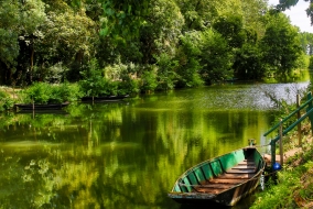 Les paysages du marais poitevin défilent comme autant d'aquarelles dans un atelier d'artiste.