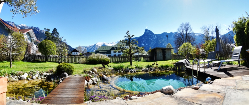 La piscine naturelle, une option plus écolo - Minizap Chambery