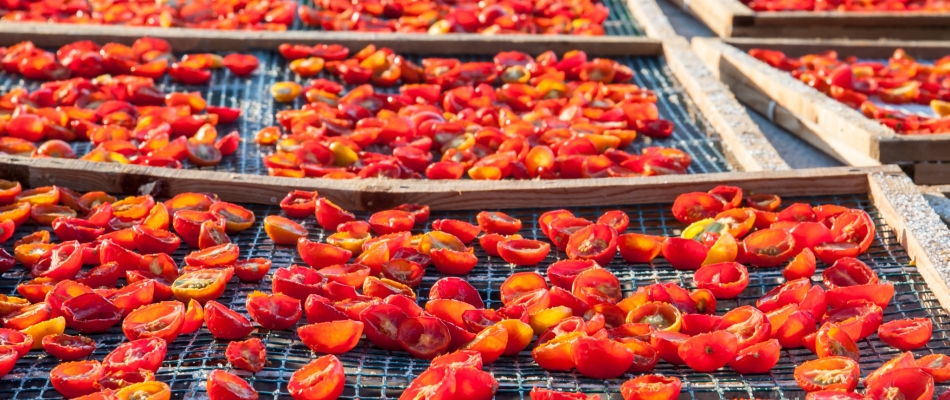 Comment faire sécher les tomates au soleil pour les conserver tout l'hiver - Minizap Pays Voironnais