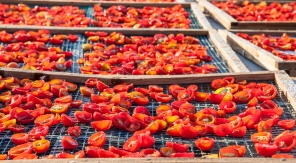 Comment faire sécher les tomates au soleil pour les conserver tout l'hiver