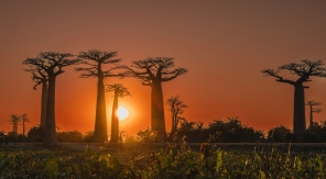 Madagascar : une virée mémorable au pays de la terre rouge