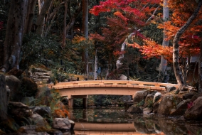 Le respect et la contemplation de la nature sont fortement ancrés dans la mentalité japonaise.