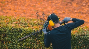 Rabattre une haie en cours d'automne