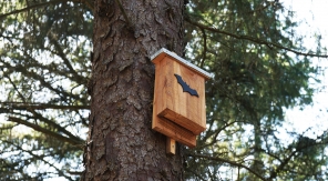 Installer un nichoir à chauves-souris dans le jardin