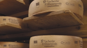 Le vacherin fribourgeois, un caractère bien trempé