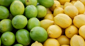 Citron jaune et citron vert, quelles différences ?