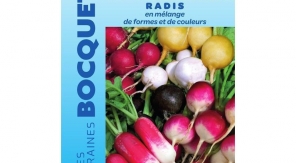 Des radis et des couleurs