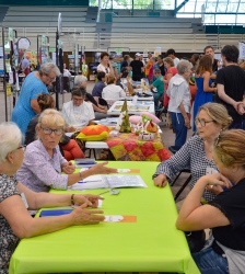 Journée des associations