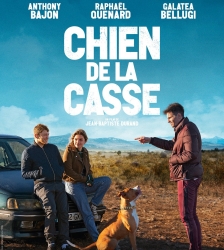 Cinéma plein air : Chien de la casse