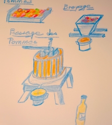 Atelier : "Je presse mon jus de pommes"