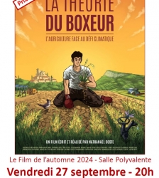 "La Théorie du Boxeur",