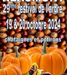 Festival de l'Arbre : Châtaignes et Potirons