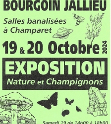 Exposition Nature et Champignons