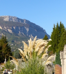 Les plus belles tombes du cimetière Saint Roch