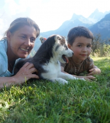 Rencontre des chiens sur leur lieu de vie