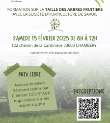 Formation sur la taille des arbres fruitiers