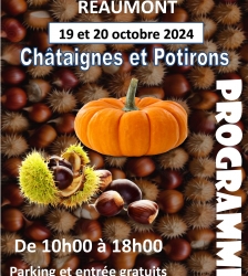 Festival de l'Arbre : Châtaignes et Potirons