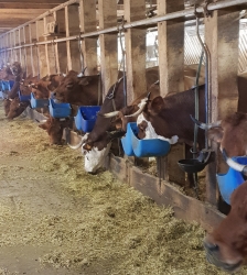 Visite de la Ferme de la Correrie