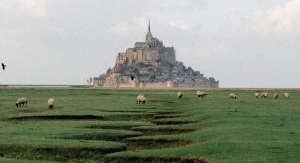 Secrets sauvages du patrimoine - Mont-Saint-Michel...