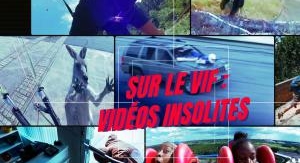 Sur le vif : vidéos insolites - Vol à haut risque