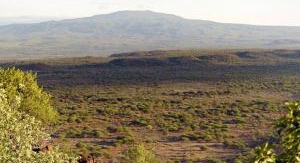 La Garden Route d'Afrique du Sud - Un parc nationa...