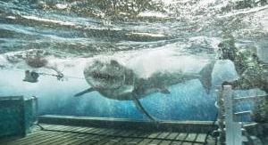 Les hommes-requins - Marquage de requins