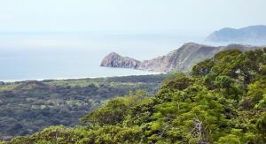 Nature, le retour du sauvage - Costa Rica, au chev...