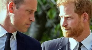 William et Harry : de l'amour à la haine